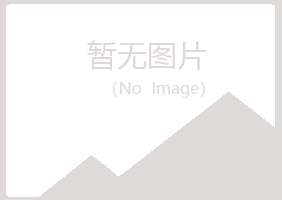 龙海紫山化学有限公司